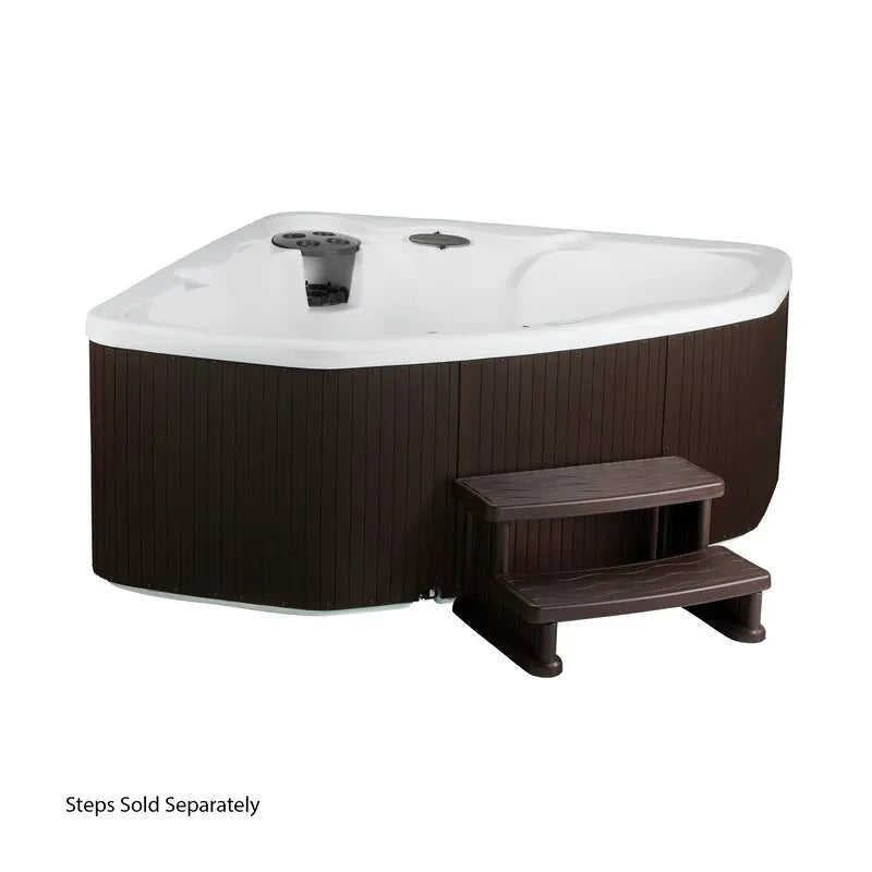 Lifesmart Spas 3 Person 17 Jet Plug And Play Hot Tub with Ozonator in Espresso