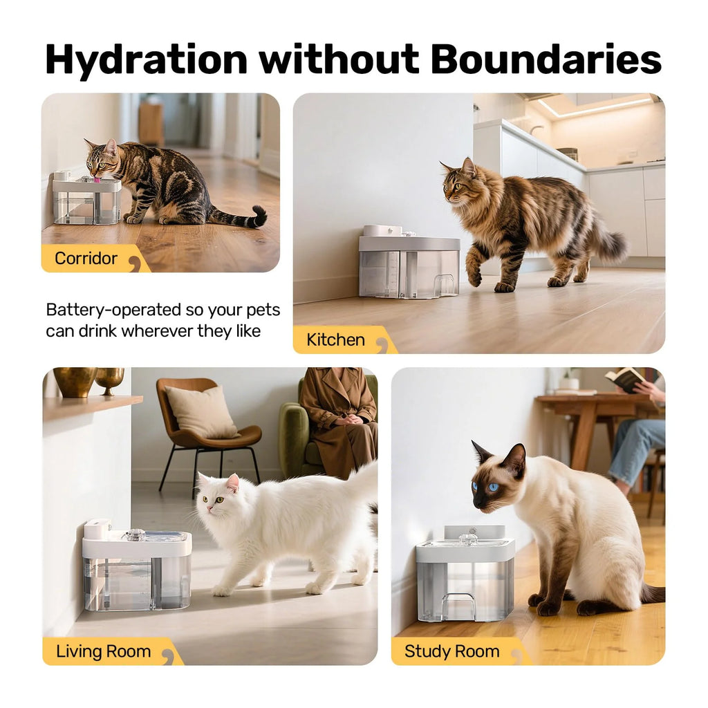 Cat Water Fountain Dual Tank No Filter 3L Battery Powered with Stainless Steel Tray for Cats